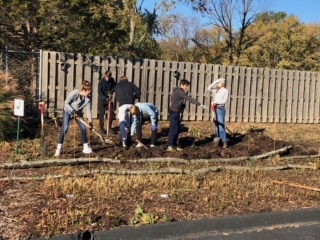 Gold Award raingarden photo1