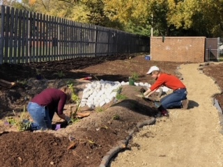 Gold Award raingarden photo4