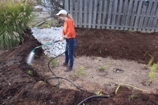 Gold Award raingarden photo2